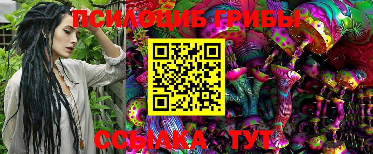 Псилоцибиновые грибы мухоморы Санкт-Петербург