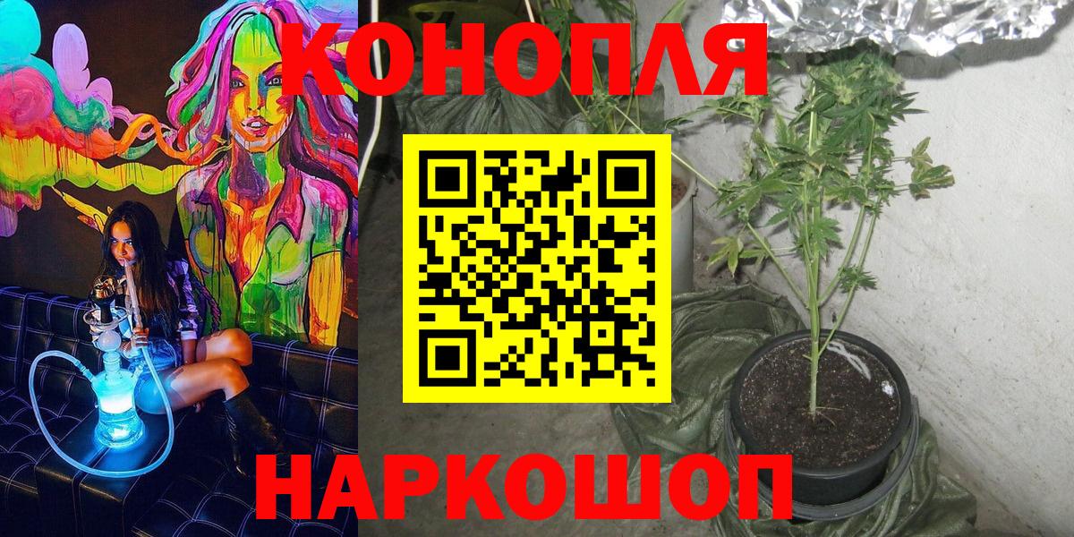 Каннабис конопля  Канабис THC 21%  Санкт-Петербург  Вход с VPN 