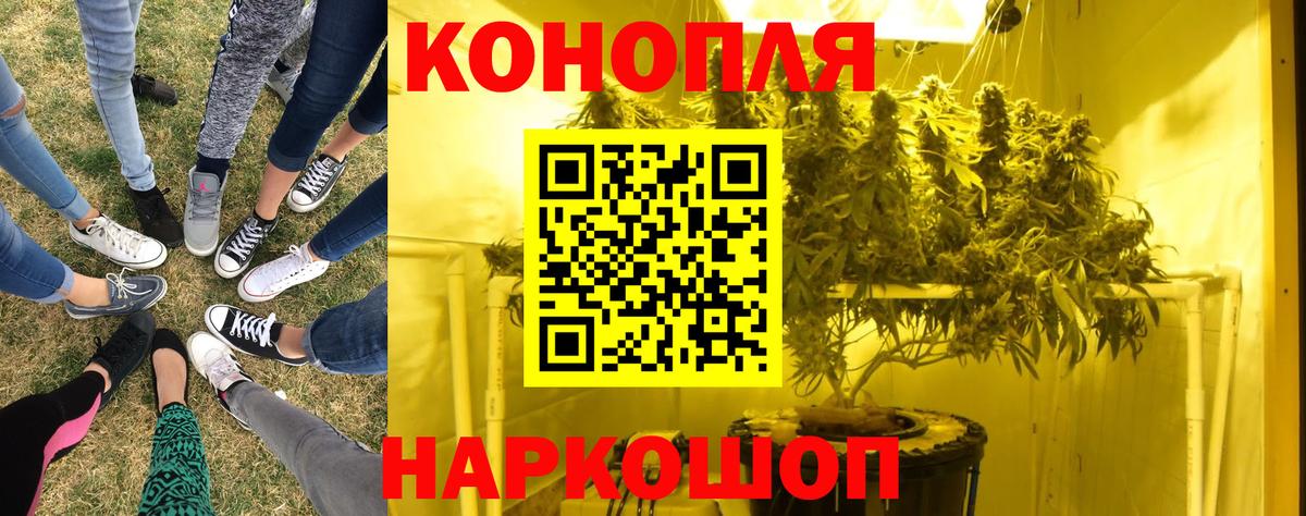 Шишки марихуана семена Санкт-Петербург